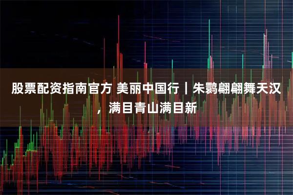 股票配资指南官方 美丽中国行|朱鹮翩翩舞天汉,满目青山满目新